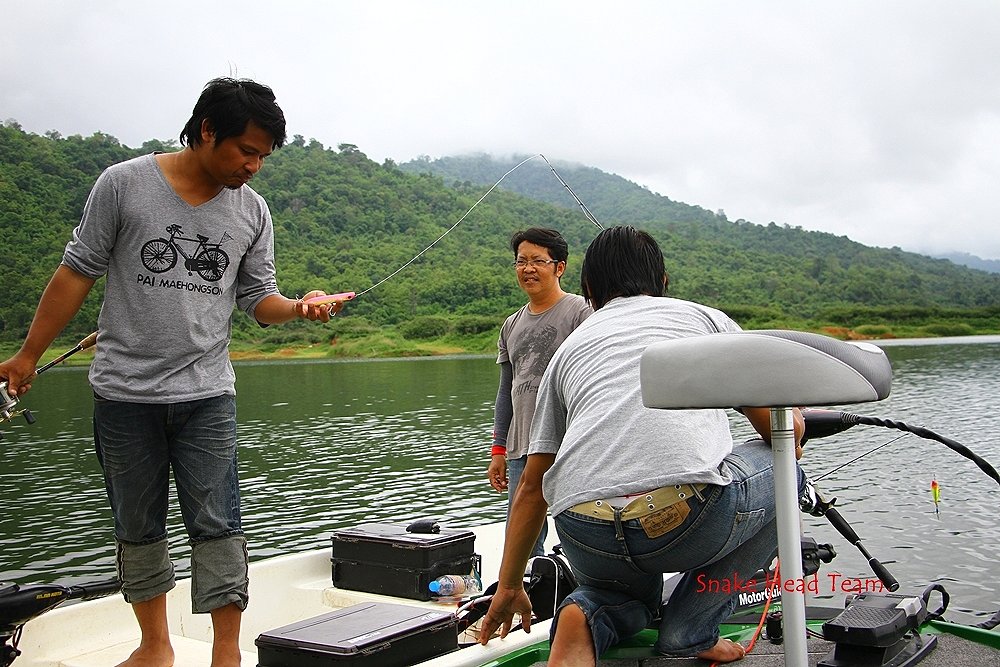                                                         น้าภพ ...........สนใจน้องโยอ่ะดิ๊ :laughing: