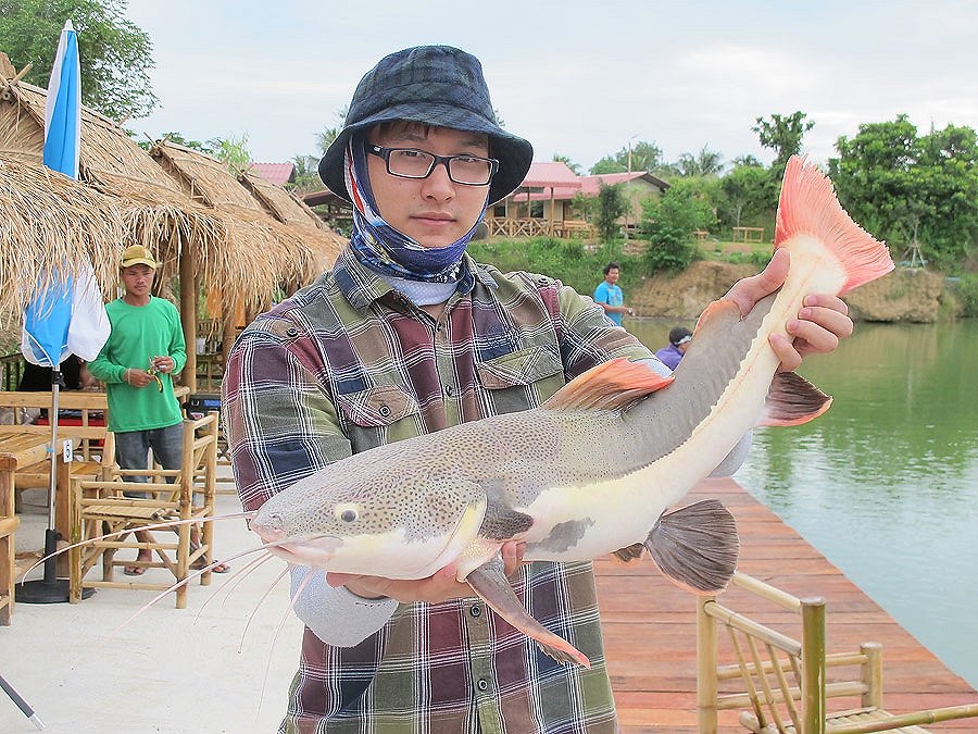 เรดเทลไซร์เกือบๆสิบโล :grin: