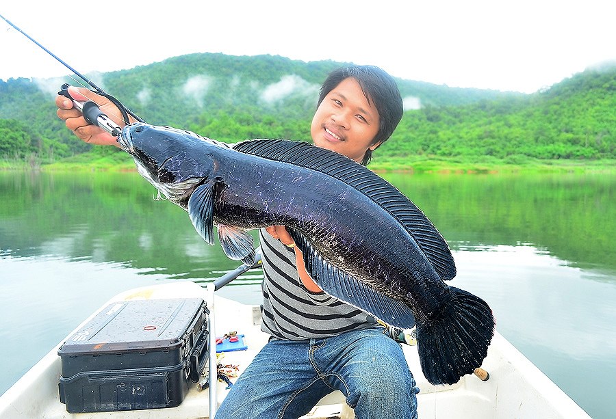 หล่อ สวด สวด  5 5 5    :love: :love: :love: :love: