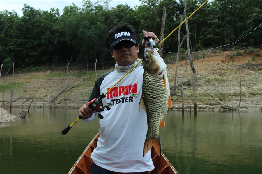 คันStorm Mojo 

รอกRapala

สายSufix832

เหยื่อBX MINNOW

:cool: :cool: :cool: :cool: