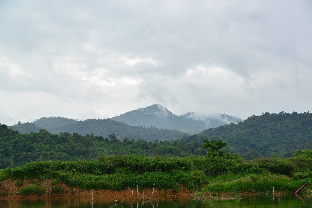 [q][i]อ้างถึง: สบายใจ.. posted: 19-07-2556, 10:23:40[/i]

+++   :love: :kiss: :umh: :smile: :cool: