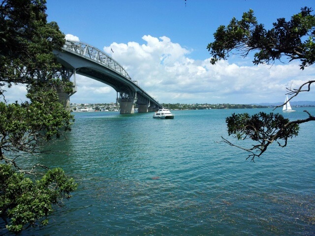 แถมภาพวิวอีกนิดหน่อยครับ ปลาหมดแล้ว  :grin: อันนี้สะพาน harbour bridge ครับผม เค้าเล่ากันว่าใต้ตอหม้