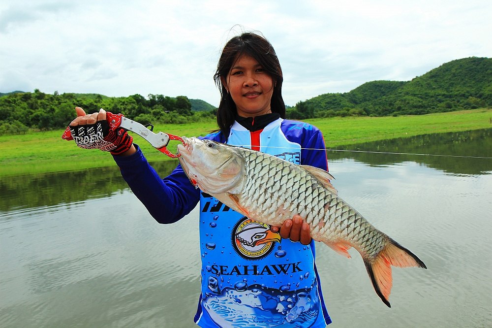  [b]วันนี้ถ้าจะหมานแน่ๆ  ออกเรือมาหุบเดียว ได้ปลาตัวโตเสียแล้ว[/b]  :cheer: