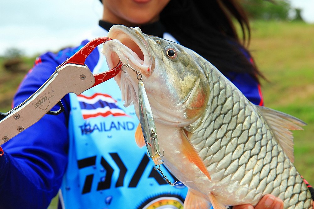  [b]หลงเสน่ห์ RAPALA Flatrap 08[/b]   :cheer: :cheer: