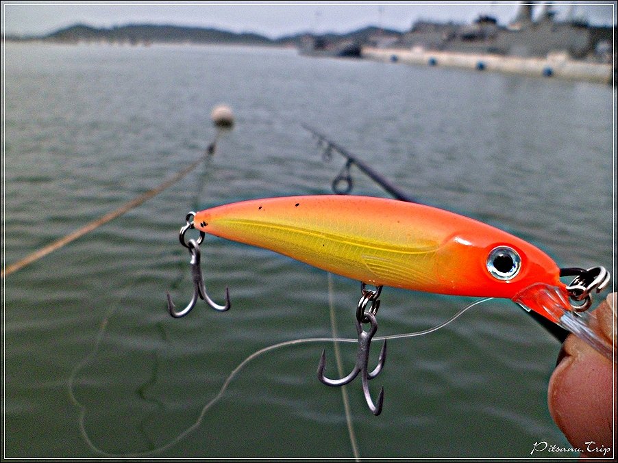  [center]:cheer:   ผมจะเลือกเหยื่อที่มีขนานใหญ่ก่อนเลยครับ กับเหยื่อตัวนี้  RAPALA X - RAP 10 สีส้ม 