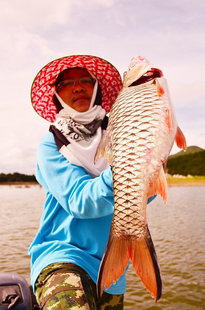 [q][i]อ้างถึง: Ninenoi_LPN posted: 20-07-2556, 00:40:15[/i]

+++สวัสดีครับ ตามชมครับ+++ :cheer: :c