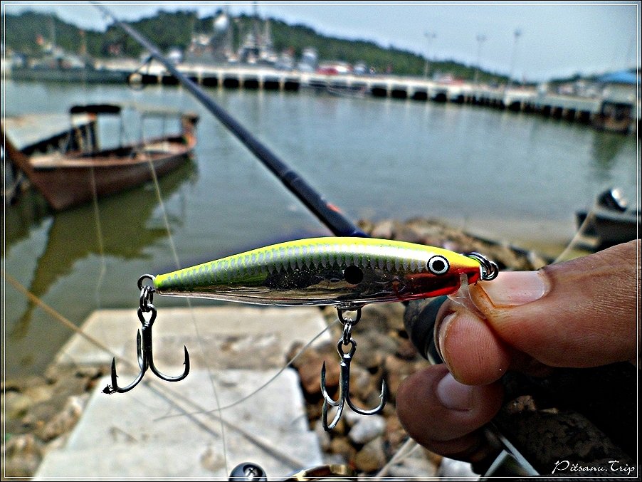 [center]:cheer:   ยังครับ...............ยังไม่หายคันไม้คันมือ ลุยต่อครับ กับเหยื่อตัวนี้  RAPALA FLA