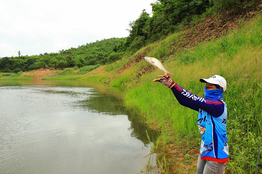  [b]ตัวไม่ใหญ่มาก  และไม่สะดวกที่จะเก็บ ก็ปล่อยไปดีกว่า[/b]  :cheer: