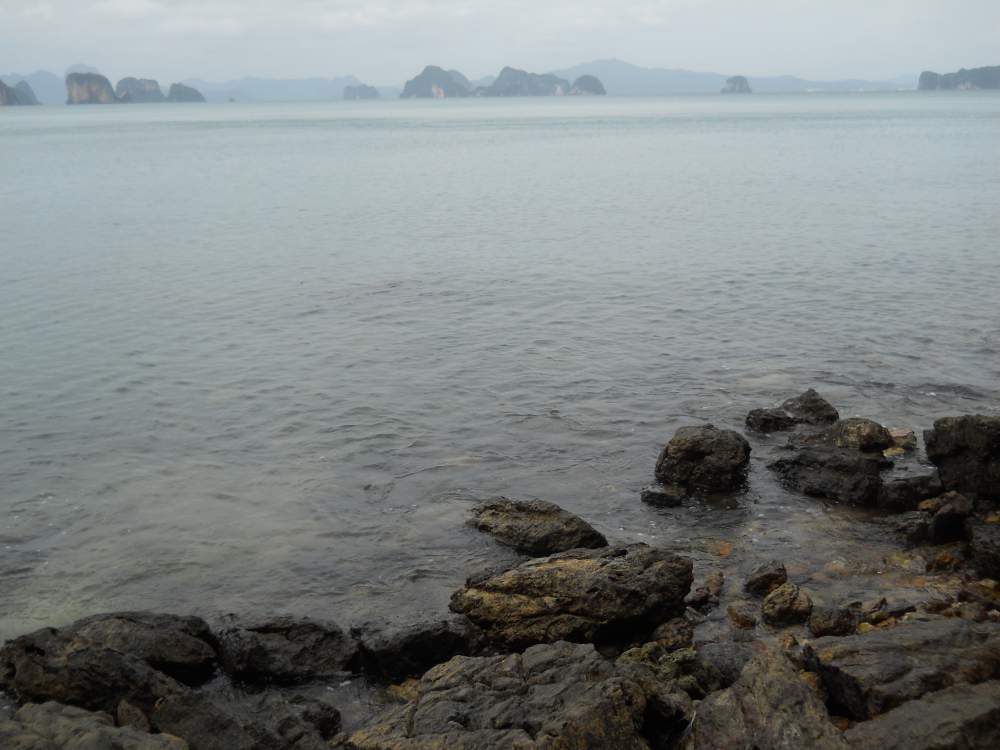 บริเวณปลาเข้าชาร์จครับ มาจากแนวซอกหินใต้น้ำข้างหน้า :smile: