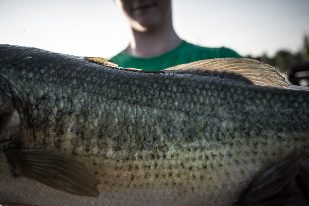 BLACK BASS ! ! ! ! เล่าสู่กันฟัง 