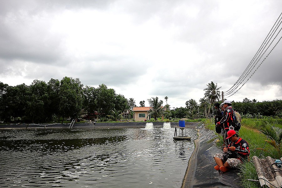   [center][b]ช่วงเวลาของความมันส์ ฝนก็ปรอยมาตลอด[/b][/center]