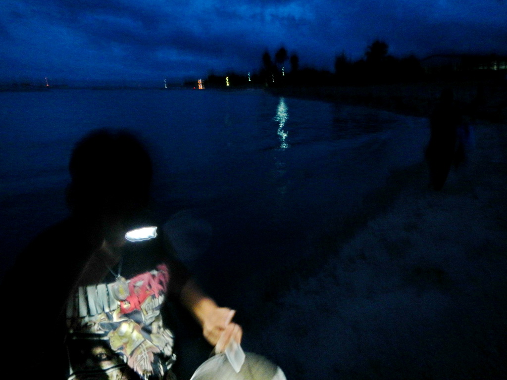 .......ถึงฝั่ง ก็มีพ่อลูก  กำลังทอดแห ปลากระบอกแถวหน้า หาด....:love: :love: :love: :love:

[q][i]อ