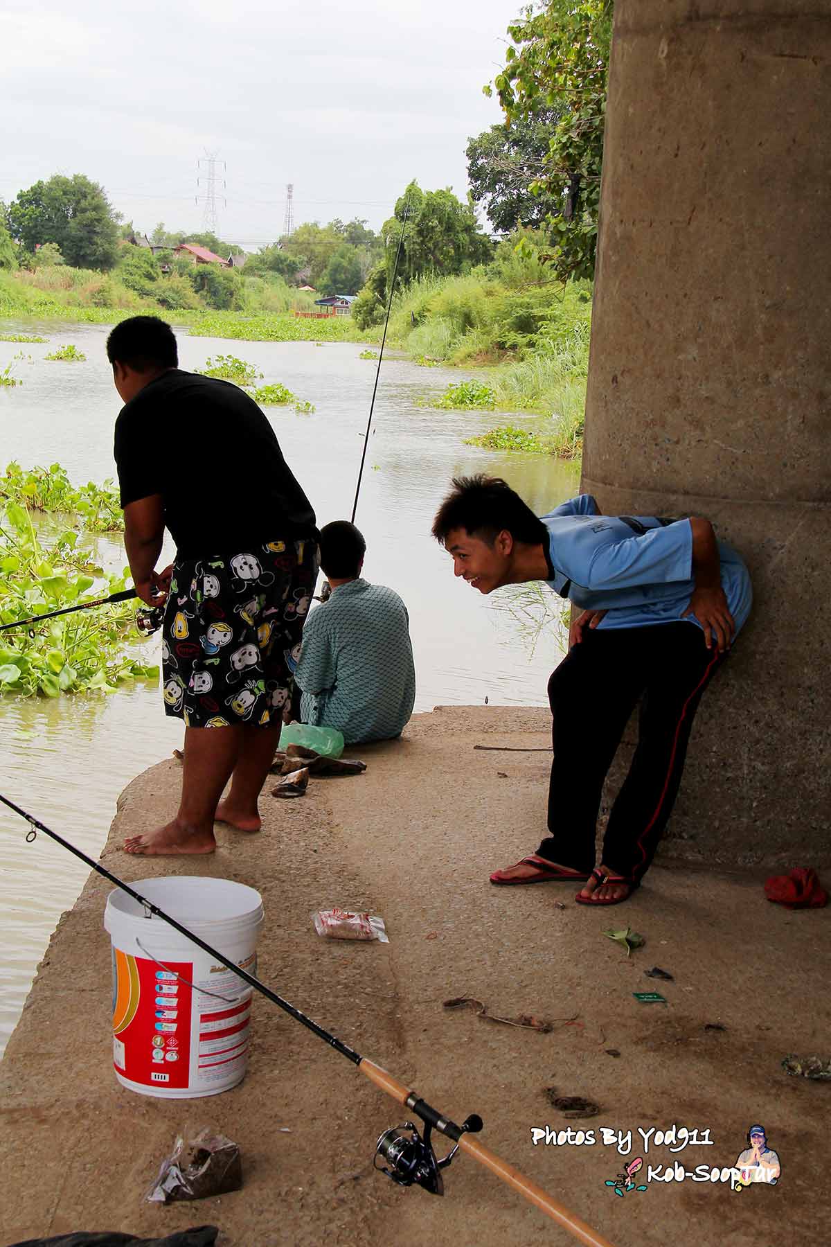 ไม่มีคำบรรยายครับภาพนี้ เดาไม่ถูกว่ามันคิดอะไรกันแน่ :laughing: :laughing: