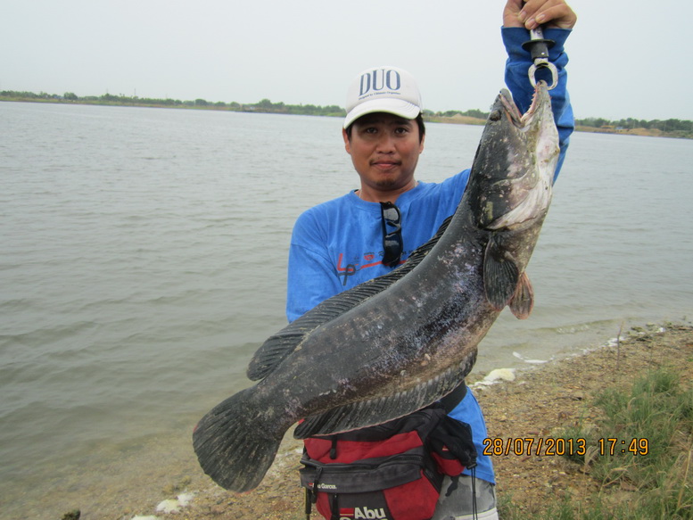 [q][i]อ้างถึง: knightkub posted: 29-07-2556, 12:23:28[/i]

[q][i]อ้างถึง: scorpionay posted: 29-07