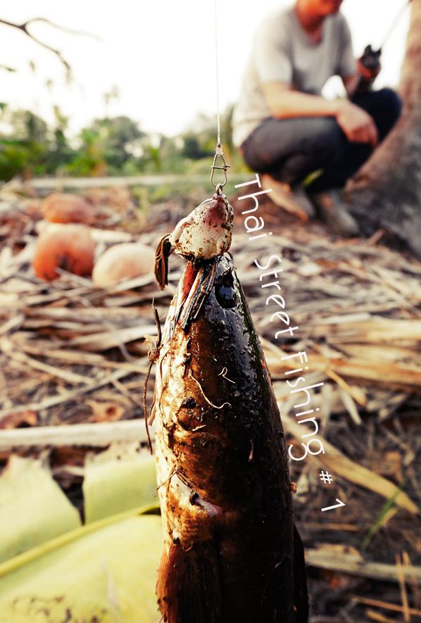 Thai Street Fishing # 1