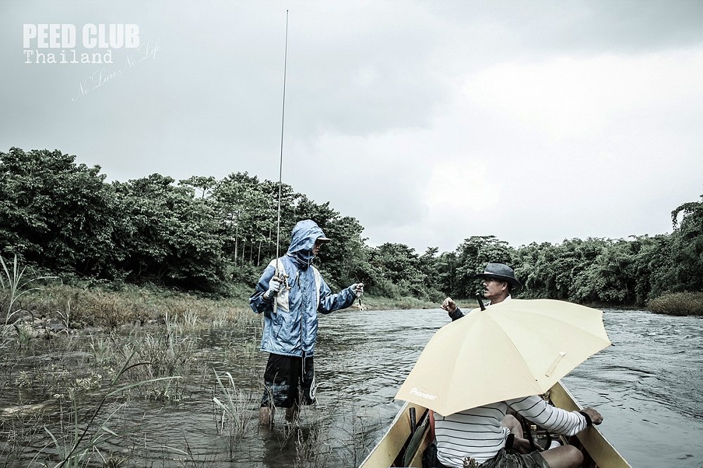 

 [center]" Rain fall & Stream flow "[/center]

 [center]เดอะแคท กับ  นายพรานมือหนึ่งแห่งสังข