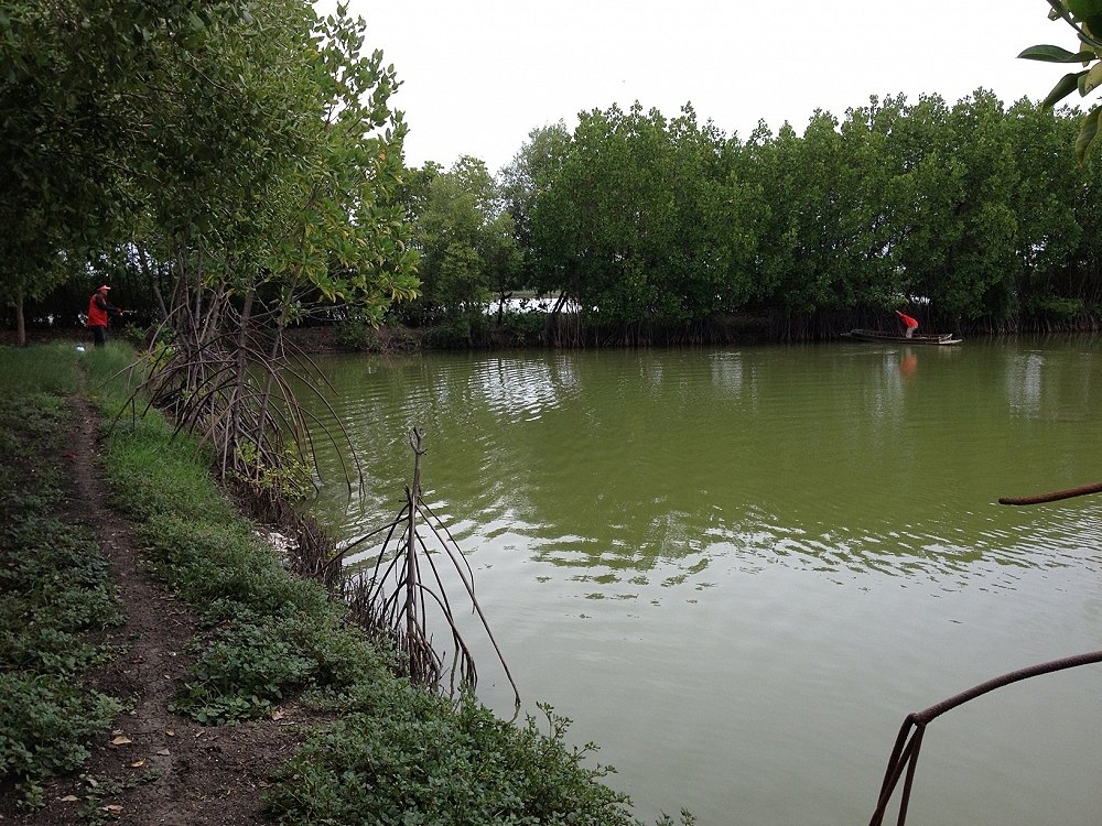พี่กานทำเหยื่อตัวเก่ง

ติดต้นไม้ ครับ 

ต้องพ่ายเรือไปเอาเหยื่อกันเลยทีเดียว

 :love: