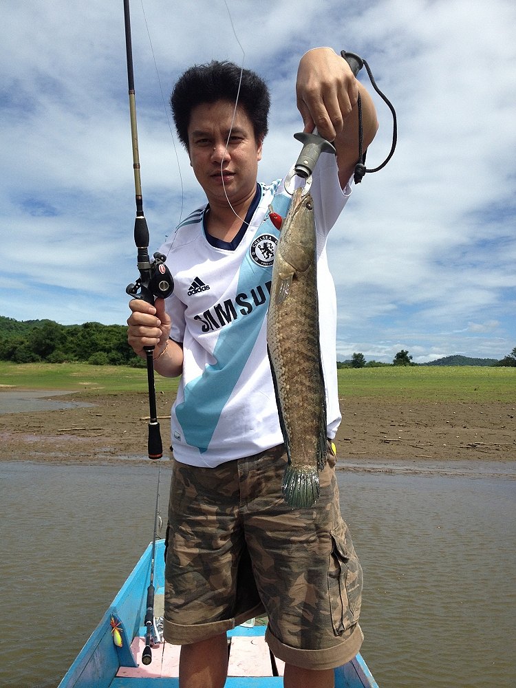 ดูกันชัดๆ