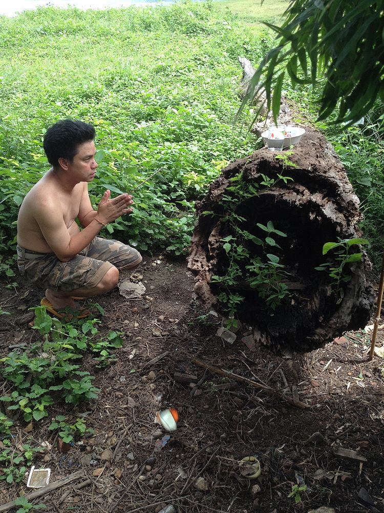 ก่อนจะลากับก็ได้มากราบไห้วสิ่งสักศักดิ์หลังบ้านไต๋...ต้นตะเคียน...ผมไปมาหลายครั้งไม่เคยสังเกตุไต๋บอก