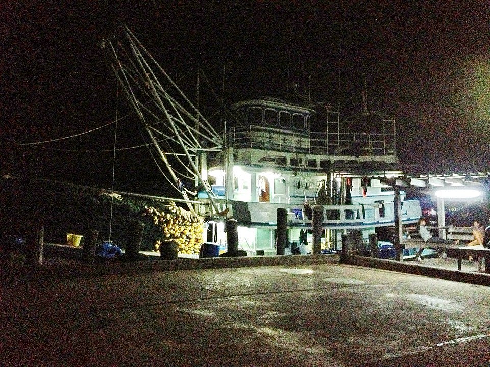 เราย้ายหมายมาอีกท่าเรือหนึ่งน่ะครับ ไปตก พอดีเรือหาปลาเข้าพอเลยครับ