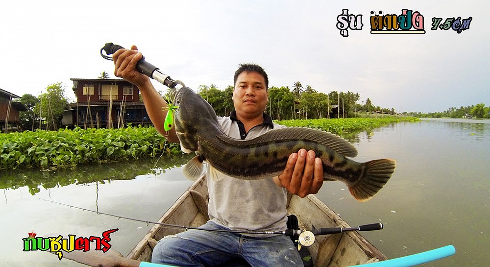 แถมครับ ตัวนี้วันนี้ครับ :laughing: :laughing: :laughing: