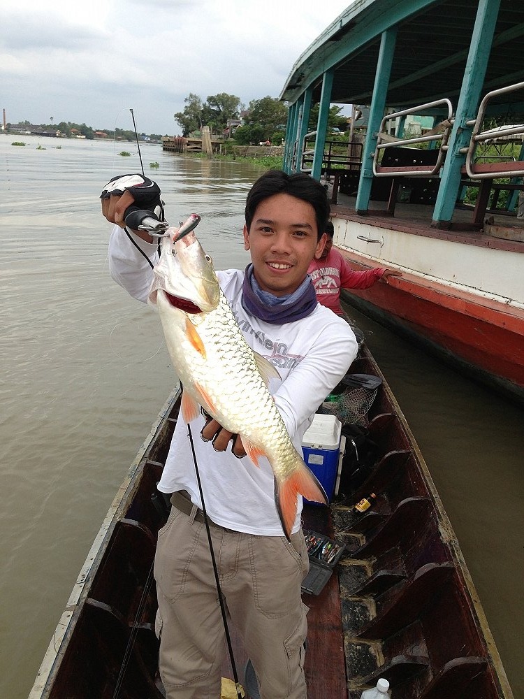 โชว์หน่อยๆ