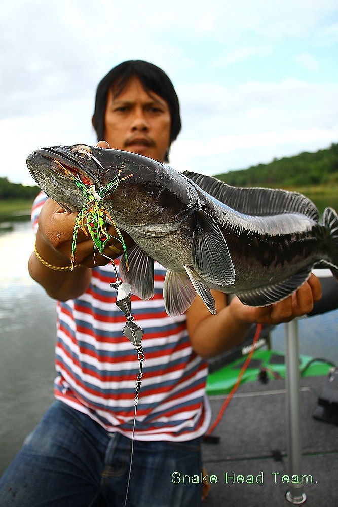                                                          [b]สวัสดีครับน้า Pesce[/b]