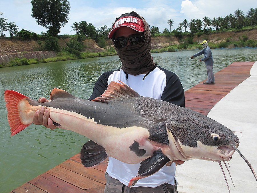 เก็บภาพมาฝากครับ GIANT FISHING PARK 3