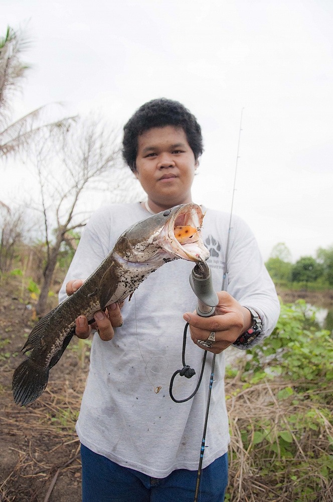 นังบอลสอยมาเรื่อยๆ เพลินเค้าล่ะ :grin: :grin: :grin: :grin: :grin: