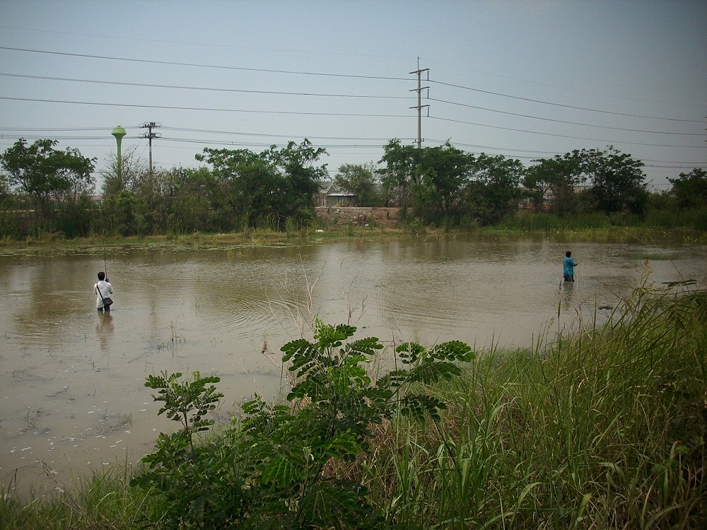 สามวัน สามหมาย สามชนิด