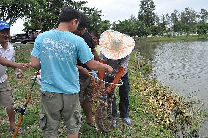 เอ้าร่วมด้วยช่วยกันครับ :laughing: :laughing: :laughing: