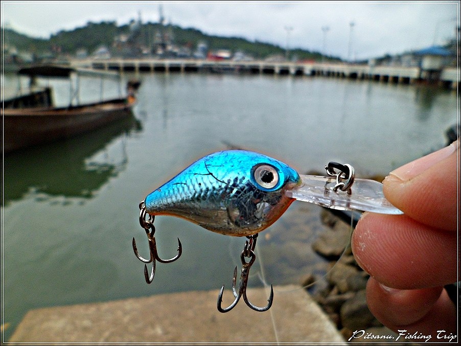  [center]:cheer:   ต่อสายหน้าเสร็จก็เอาเหยื่อตัวนี้  ( RAPALA Ultra light Crank 3 ) มาลองตีครับกับที