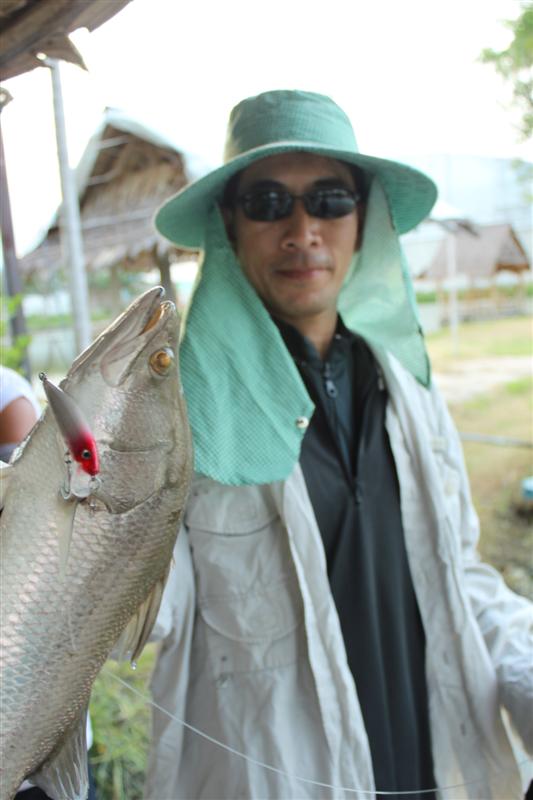 โปรโต้ง ราพาล่า ดูแลภาคกลางตะวันออก :smile: :smile: :smile: