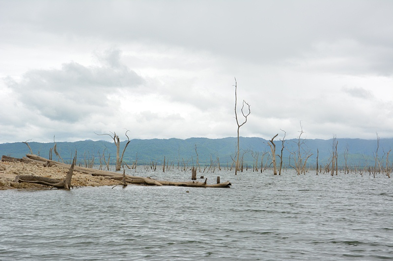 ซัดเรือ..กลับแพ  กันก่อน  ครับผม !!!    :grin: :grin: :grin:

ฝนมา  ลมมา  คลื่นแรง  บ่ายๆค่อยว่ากั
