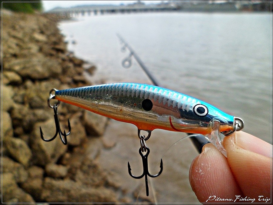  [center]:cheer:     ระหว่างเดินกลับผมก็เอาเหยื่อ  RAPALA FLAR RAP 4  มาตีไปเรื่อยเปื่อย  เพื่อค่าเว