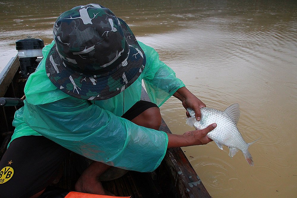 หาหมายตกปลาไม่ได้จริงๆ วันนี้ ขับเรือไปทั่วทั้ง คลองเอก ปากทางเข้าคลองควน สุดท้ายไปคลองหยา

ระหว่า