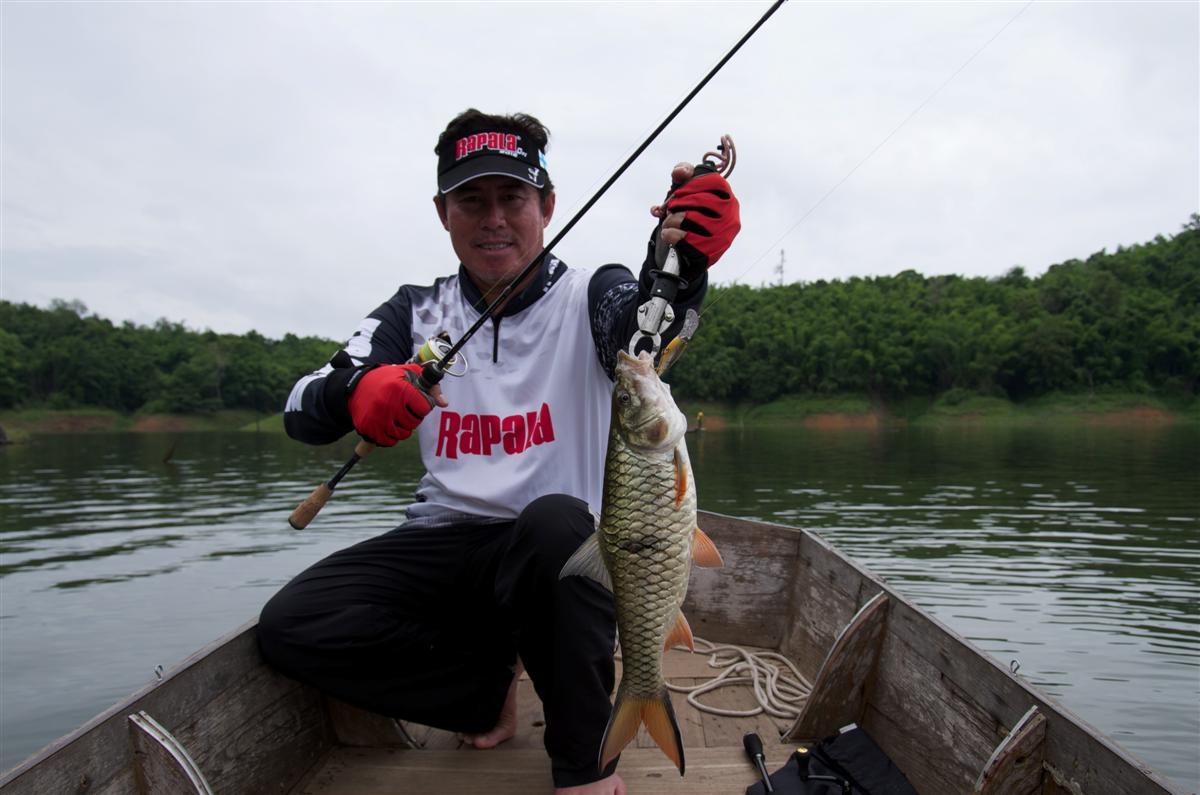 Storm Smash Shad:smile: