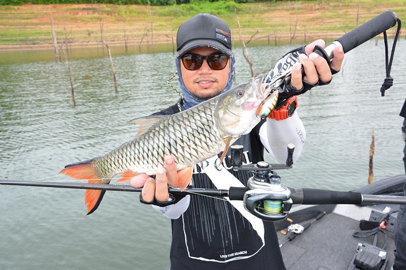 โอมิด..ใช้   [b]Evergreen Combat Crank 320[/b]  ล้วงดูบ้าง  ครับผม !!!    :grin: :grin: :grin:

 :