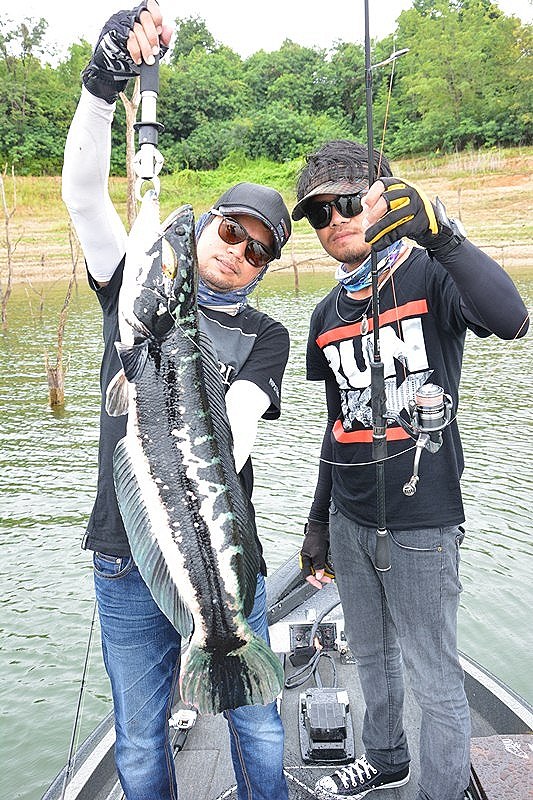 น้าชาญ..บอกขอคู่กับ พี่โอมิด ซักรูป !!!    :grin: :grin: :grin:

แต่น้าชาญ..มันไม่ยักขอคู่กับ ผมบ้