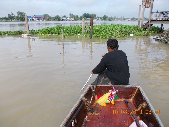 ปลาพาสายไปพันตอครับไต๋ต้นต้องช่วยแก้ให้ครับ