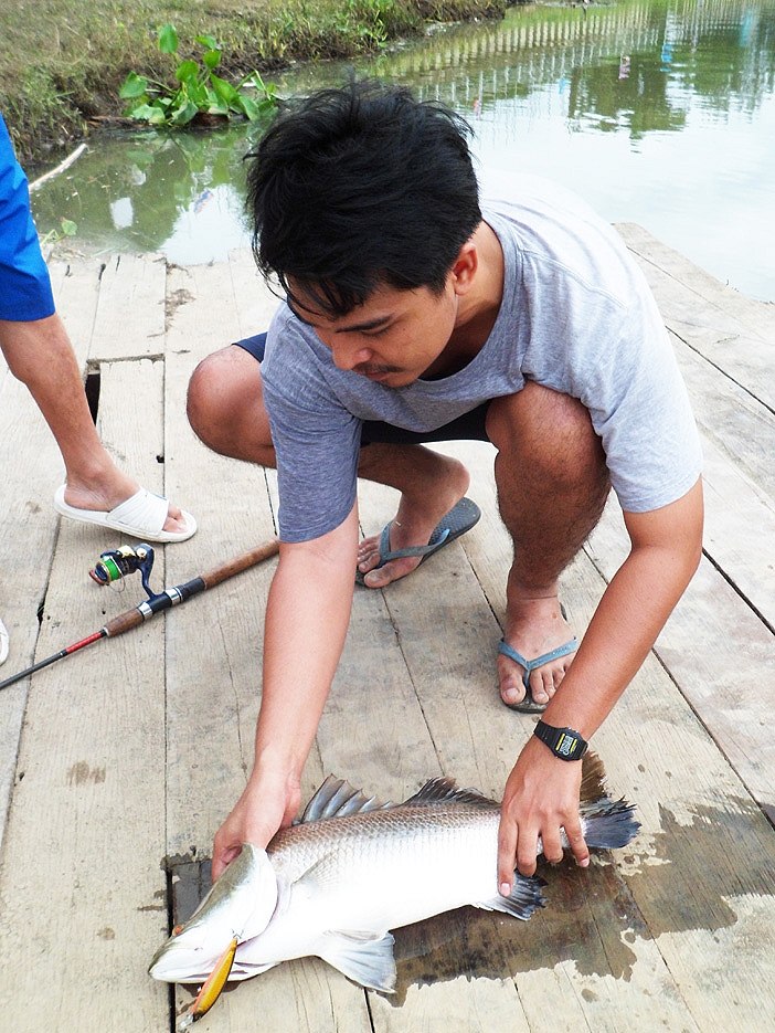 หล่อๆกันยาวๆตัวแลก กับกะพง ธรรมชาติ :cheer: :cheer: :cheer: