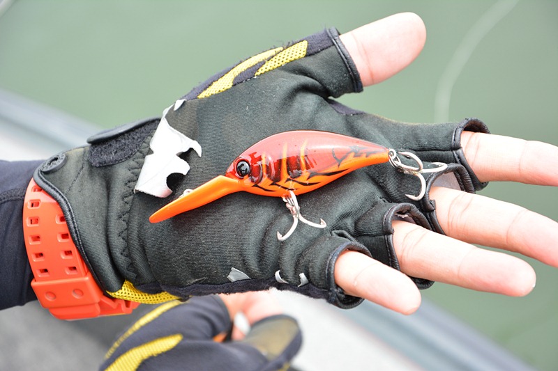  [b]" กุ้งแดง "[/b]  พร้อมลุย !!!    :grin: :grin: :grin:

 :cheer: :cheer: :cheer: :cheer: :che