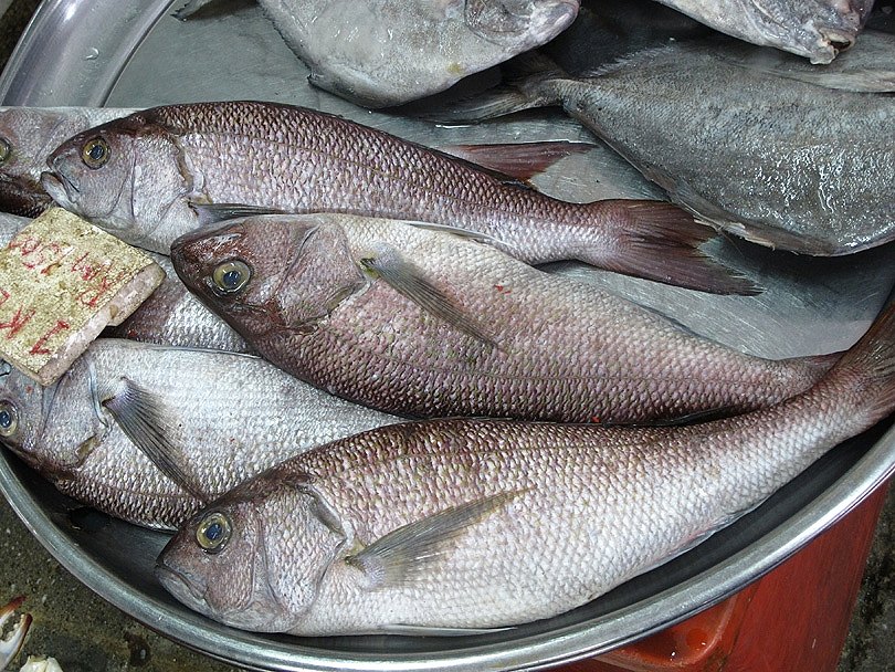 สอบถามชื่อปลาในตลาดเมืองปีนังประเทศมาเลเซียทั้ง 2 ตัวนี้หน่อยครับ