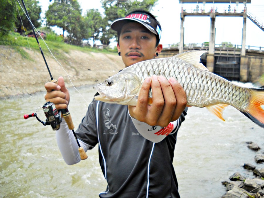 [q][i]อ้างถึง: kuntiger posted: 13-08-2556, 22:33:11[/i]

บิ๊กนี่มันหล่อเหลือเกิน เอิ๊กๆ :cheer:[/