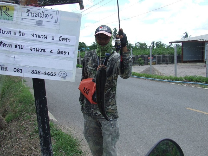 

                     [b]แต่น.แตน.แต้นนนนน....หนูเองจร้า....[/b]