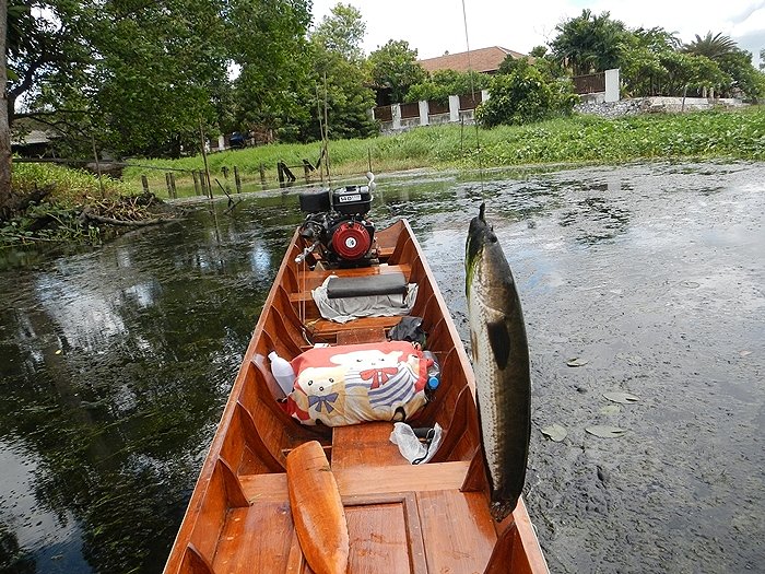  :cool: :cool: :cool: :cool: :cool:

 :laughing: :laughing: :laughing: :love: :love: :love:

 :t