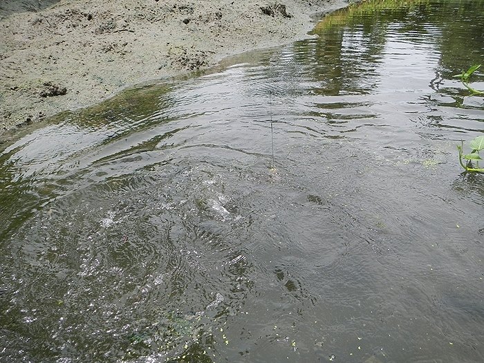  :cool: :cool: :cool: :cool: :cool:

 :laughing: :laughing: :laughing: :love: :love: :love:

 :t