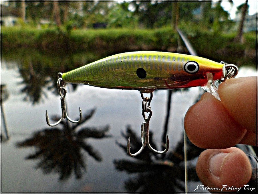  [center]:cheer:      FAT  ลงไปก็หลายไม้แระไม่มีเลย   นั้นลองอ้ายตัวนี้ดู   RAPALA FLAT RAP 4    :ch