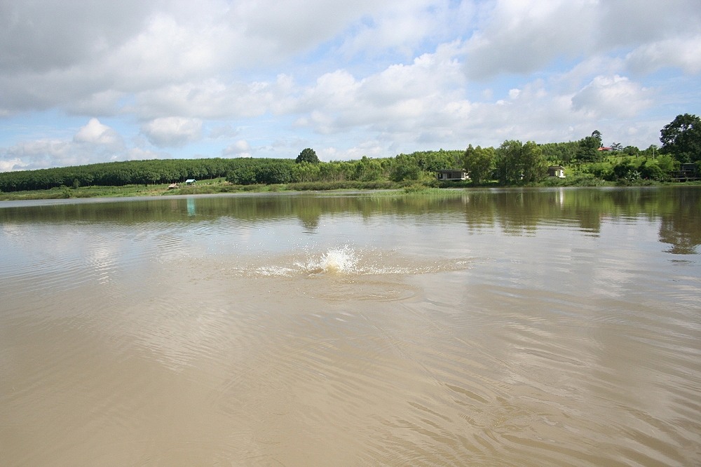 โดดสูงเป็นเมตร.....ถ่ายไม่ทัน... :wall: :wall: :wall: