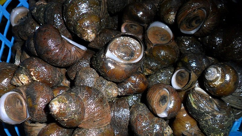 

                 [b]เขย่าๆๆๆ  ขัดๆๆๆ...[/b]     :spineyes: :spineyes: :spineyes: :spineyes:
